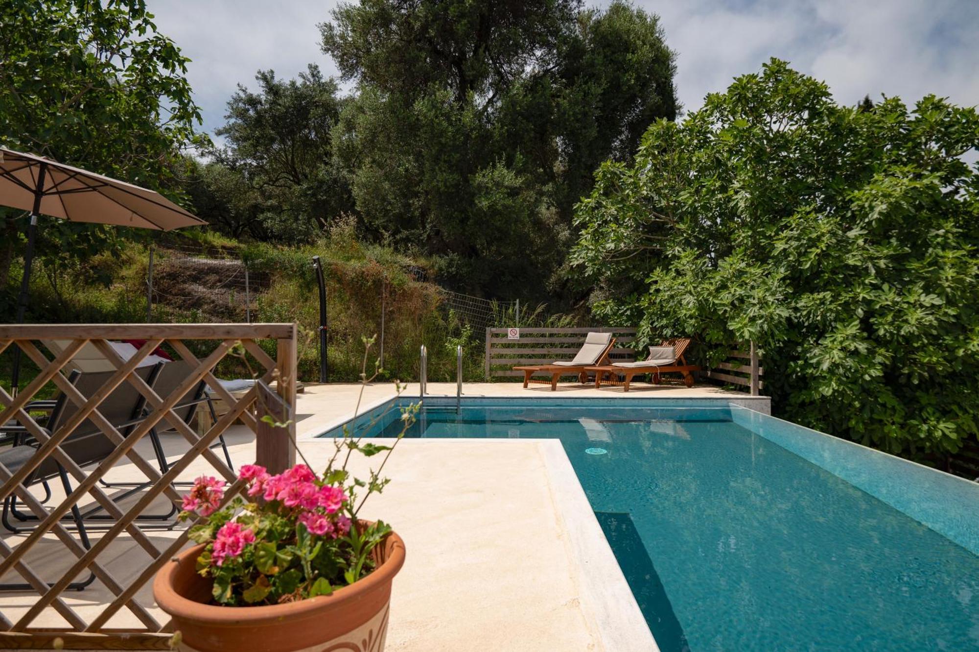 Villa Serenita Agios Georgios  Eksteriør billede
